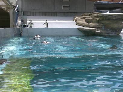 ペンギン館
