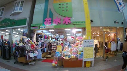 花水木
