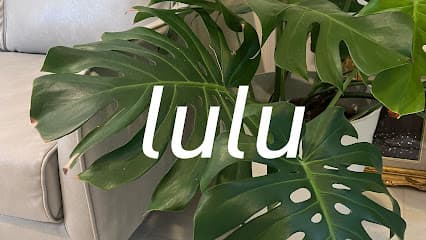 lulu
