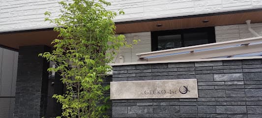 GECKO 1st